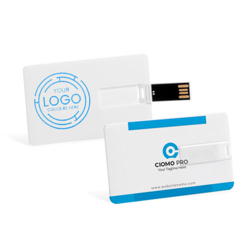 USB Drive Business Cards